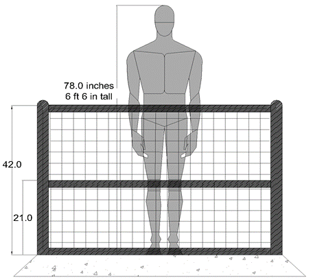 Examining Railing Safety for Sport/Concert Venues